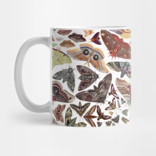 Moths of North America Pattern Mug